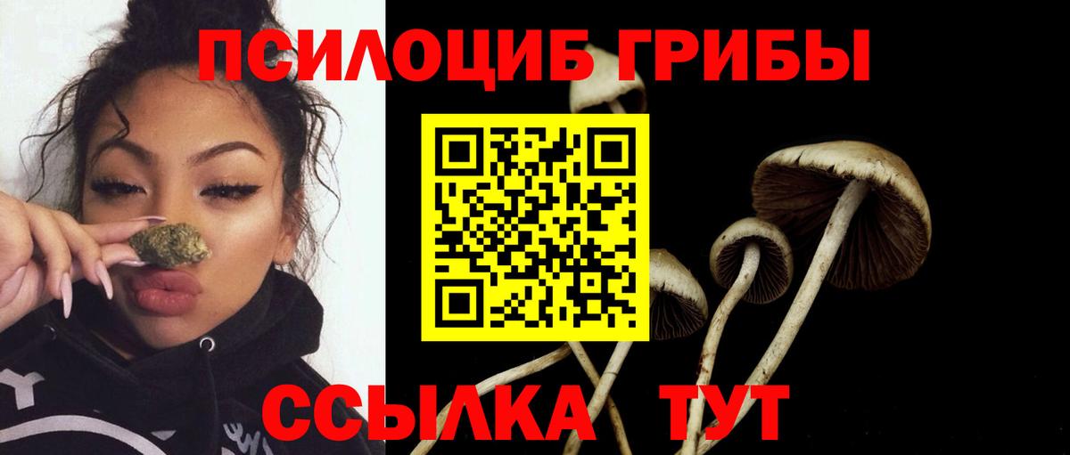 Псилоцибиновые грибы мицелий  Псилоцибиновые грибы MAGIC MUSHROOMS  где найти наркотики  Вход с VPN  Минеральные Воды 